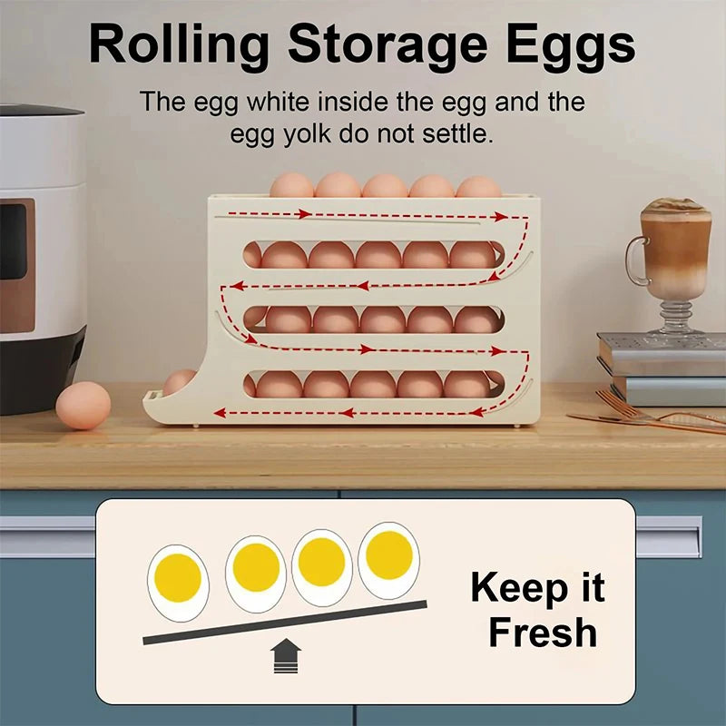 Organizador para ovos packing egg